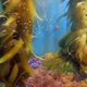A piece of concept art focusing on underwater lighting.